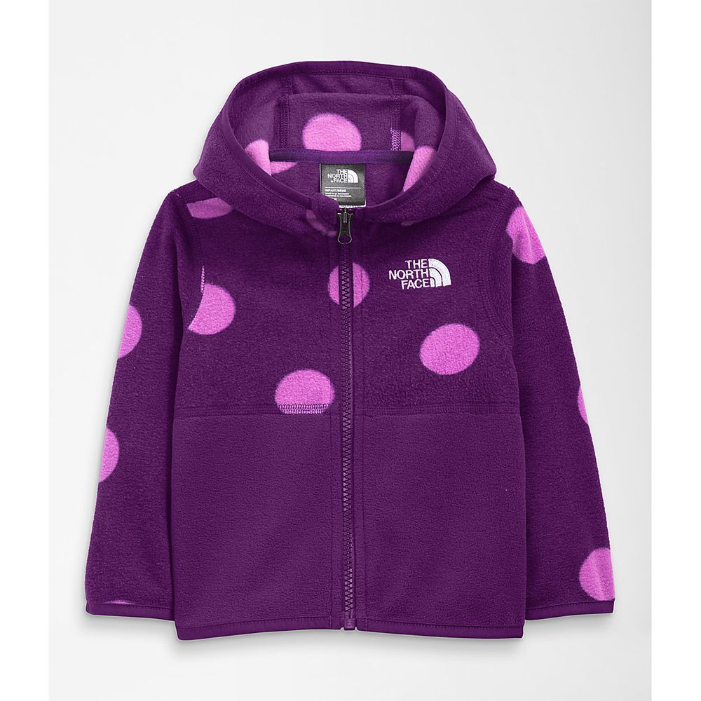 The North Face Hoodie Infant Australia - The North Face Glacier Full Zip Purple (UAW-693754)